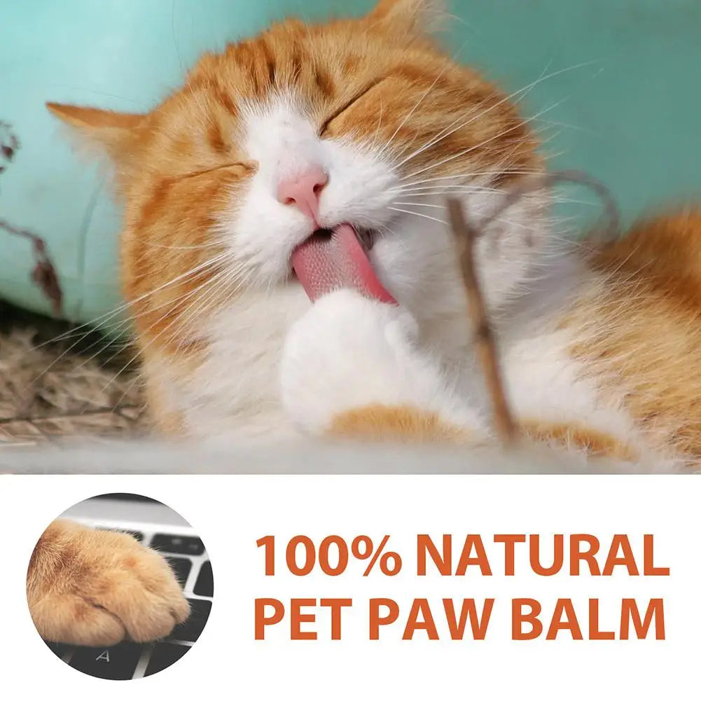 Pet Paw Care Cream Dogs Cat Nose Balm Foot Care Cleaner Dog Bath Foot Pad Protective Oil for Cracked Paw Care Paw Balm 30G